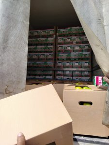 IMG-20251108-WA0081